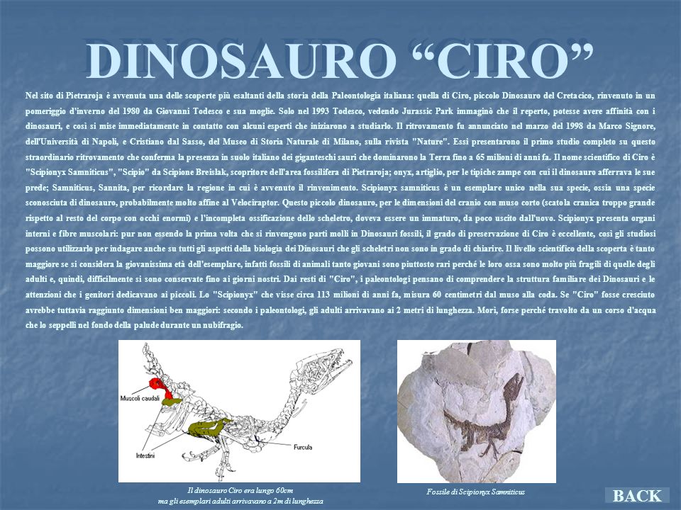 DINOSAURI Le origini Collocazione temporale Distinzione ppt